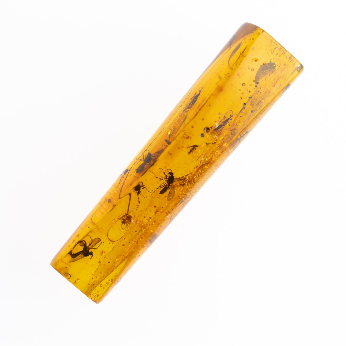 Baltic Amber with Multiple Insect Inclusions