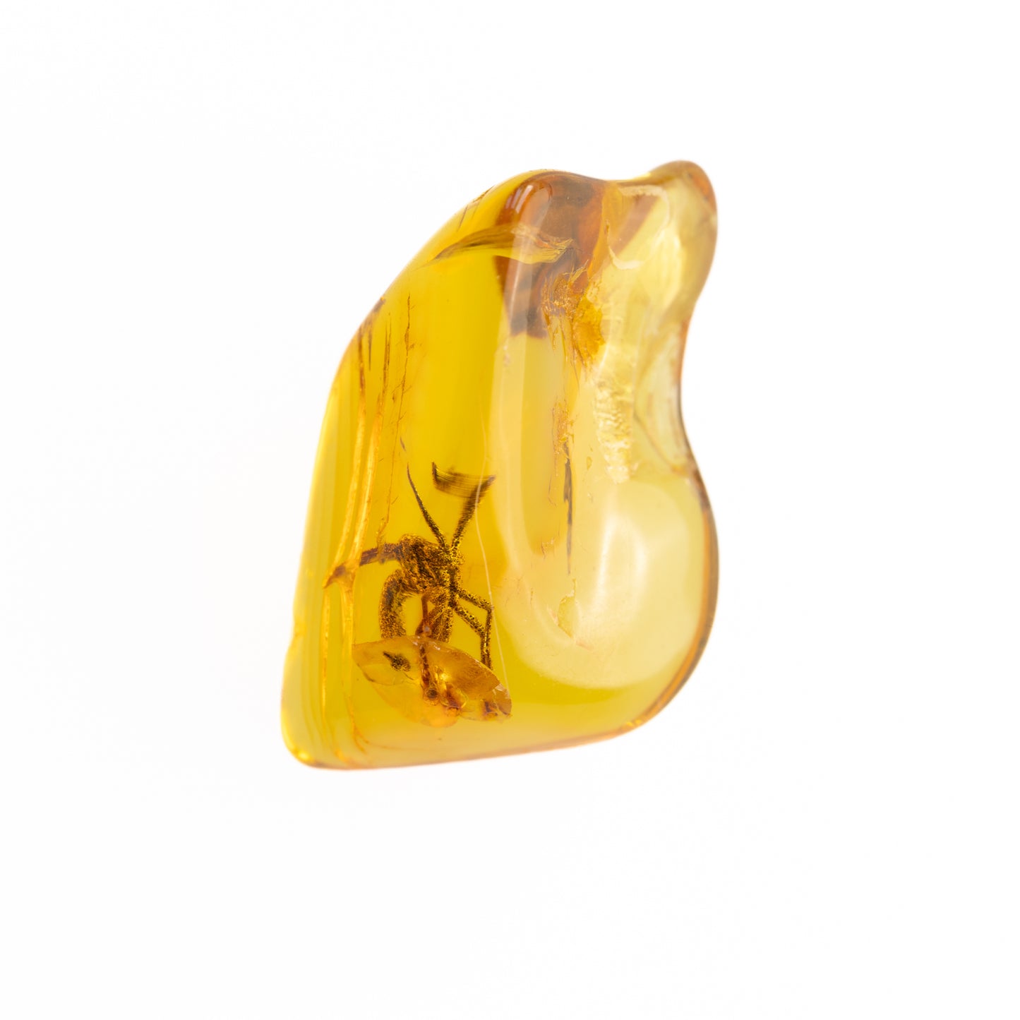 Baltic Amber with Winged Insect Inclusion