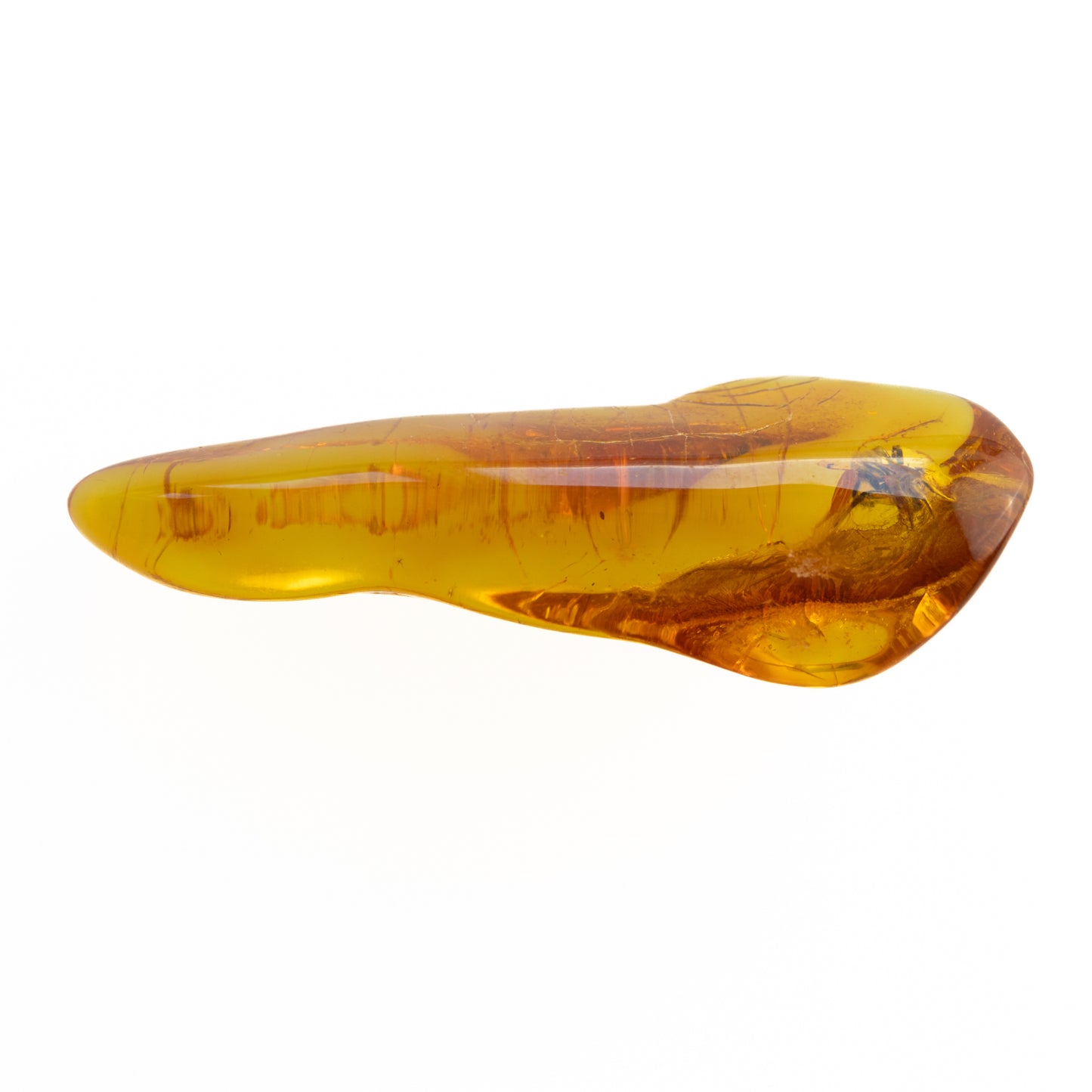 Baltic Amber with Spider Inclusion