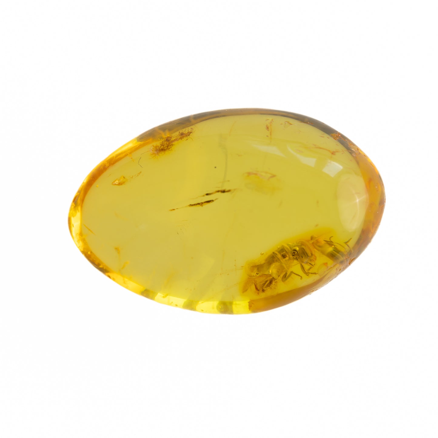 Baltic Amber with Winged Insect Inclusion