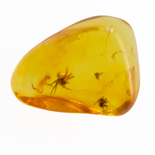 Amber with embedded spiders  on a white background