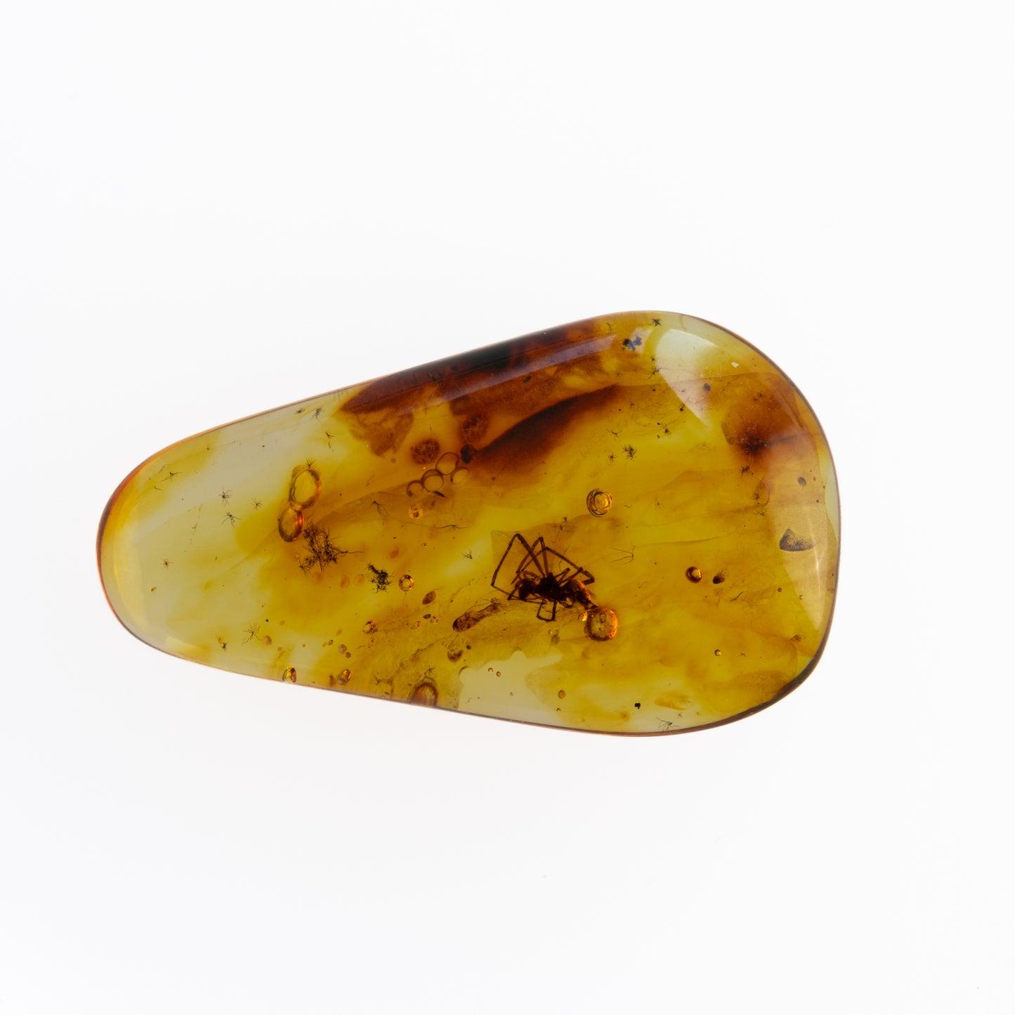Baltic Amber with Spider Inclusion