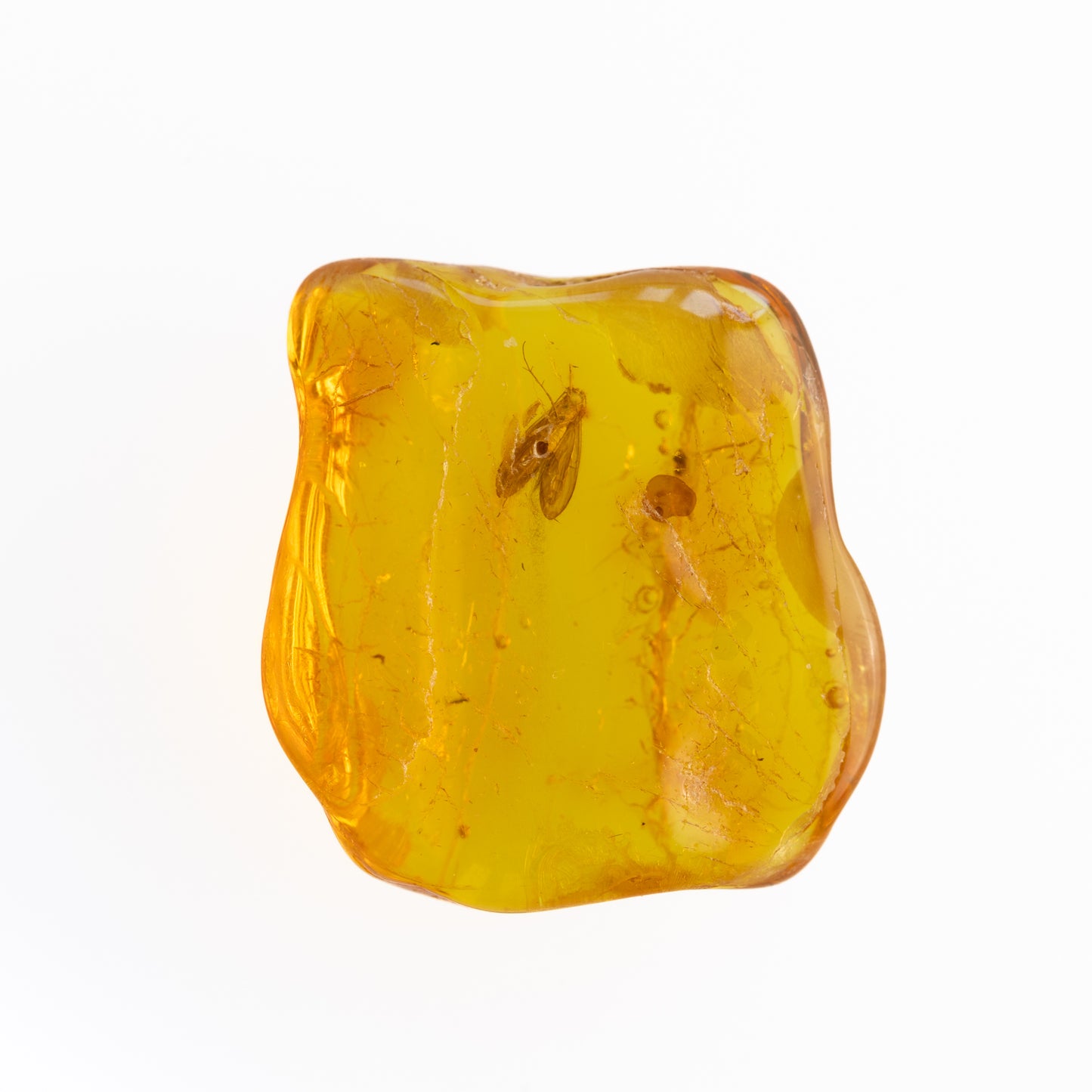 Baltic Amber with Winged Insect Inclusion