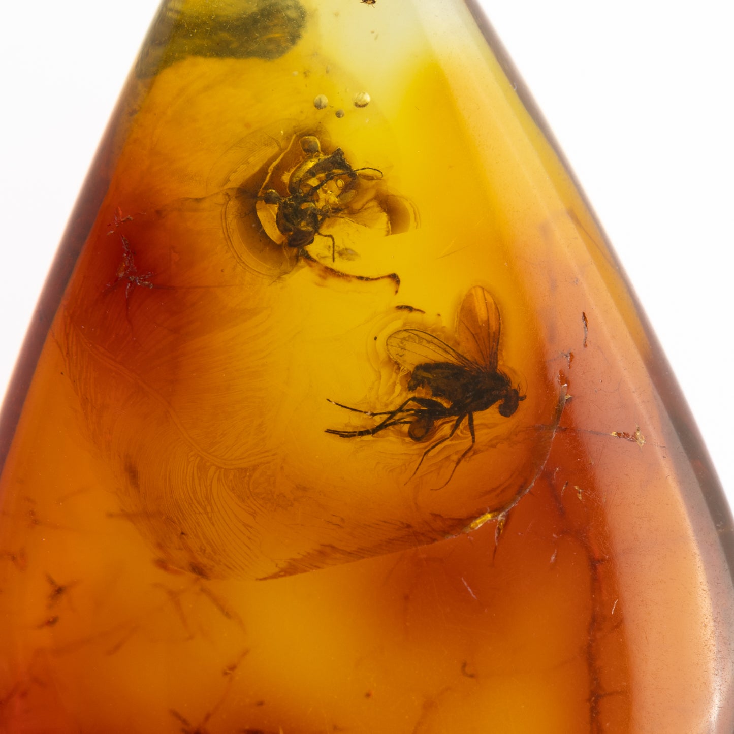 Baltic Amber with Winged Insect Inclusion