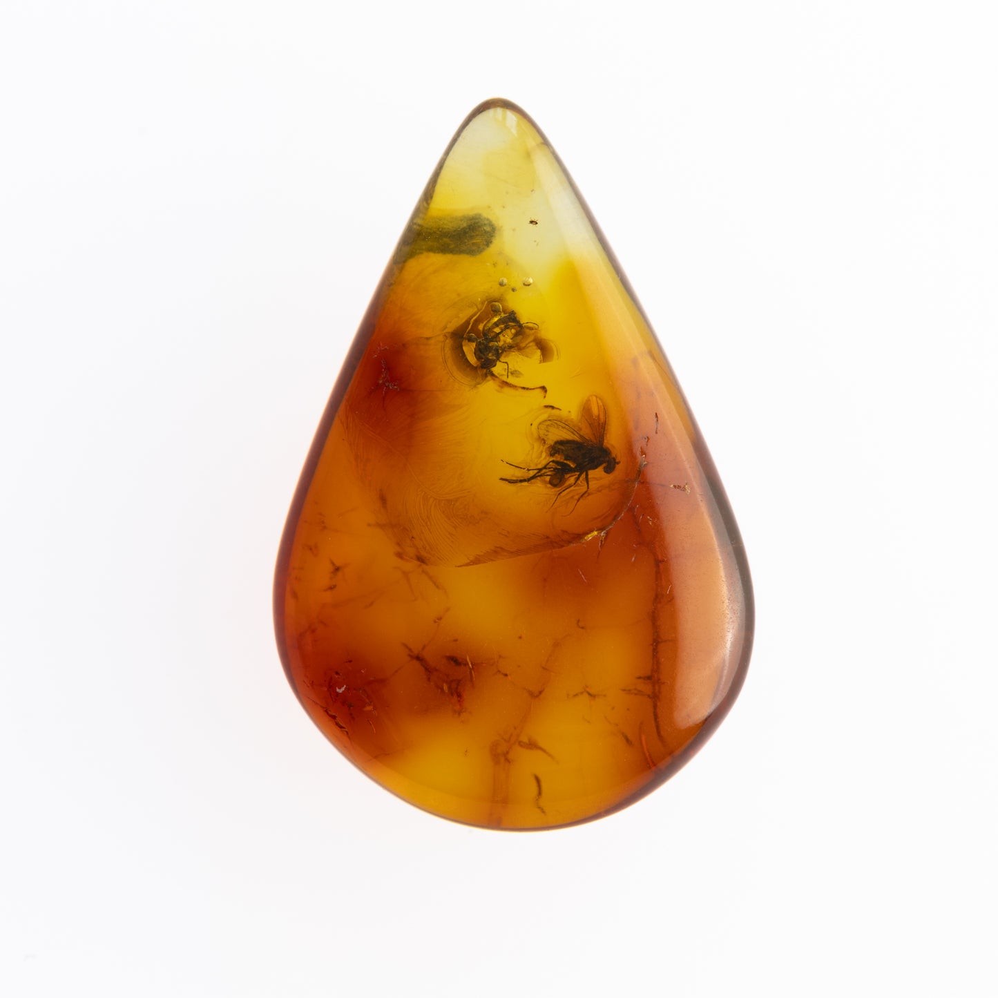 Baltic Amber with Winged Insect Inclusion