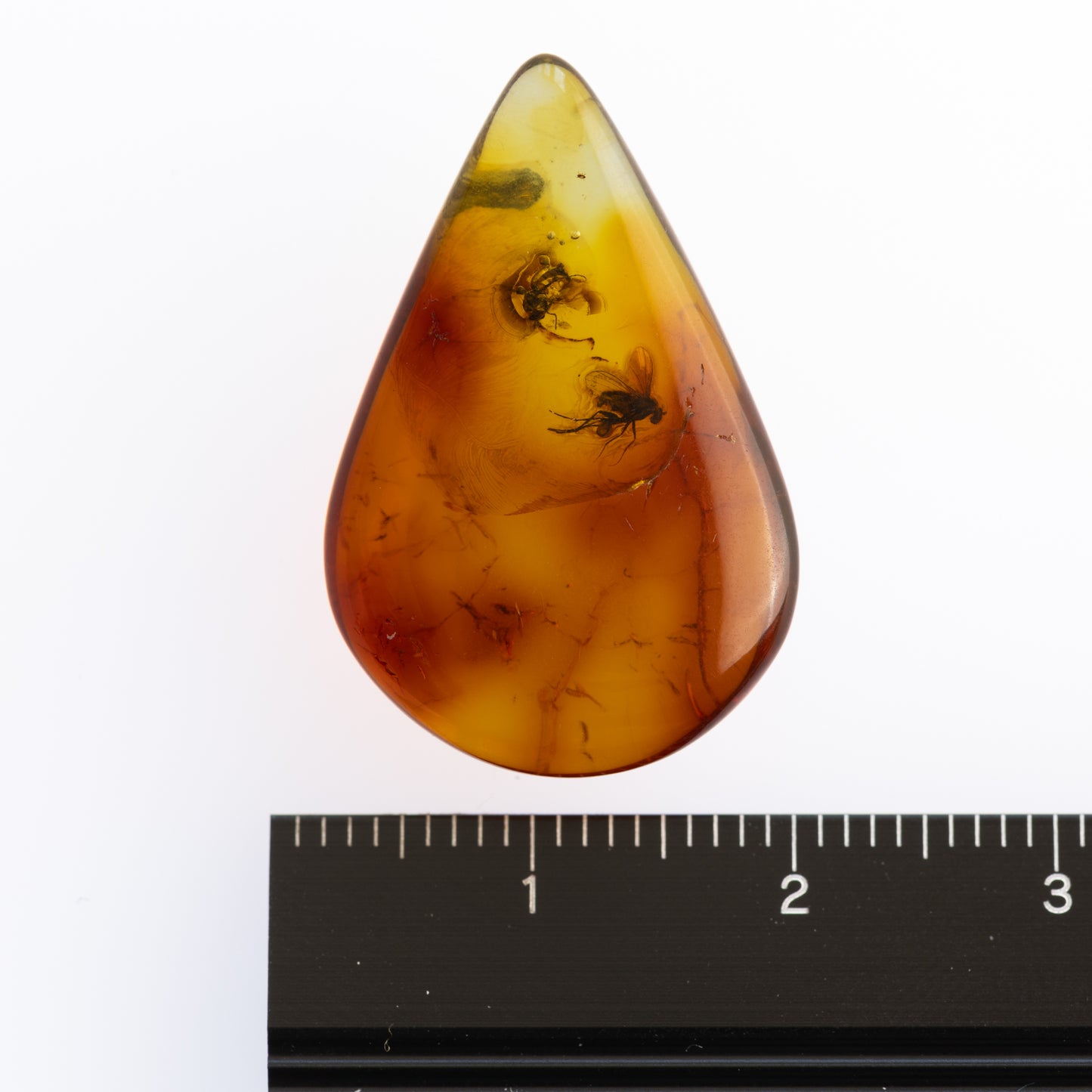 Baltic Amber with Winged Insect Inclusion