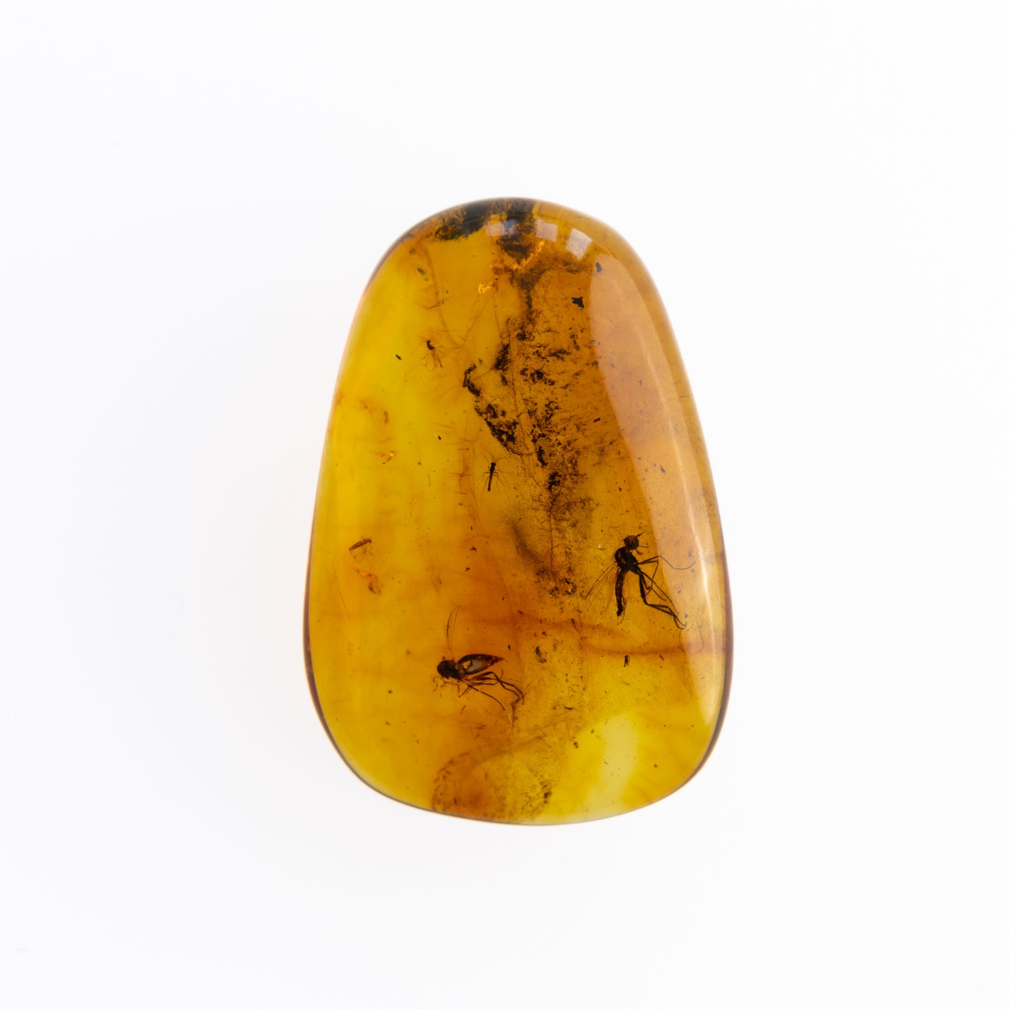 Baltic Amber with Winged Insect Inclusion