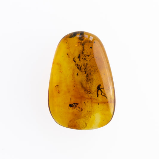 Baltic Amber with Winged Insect Inclusion