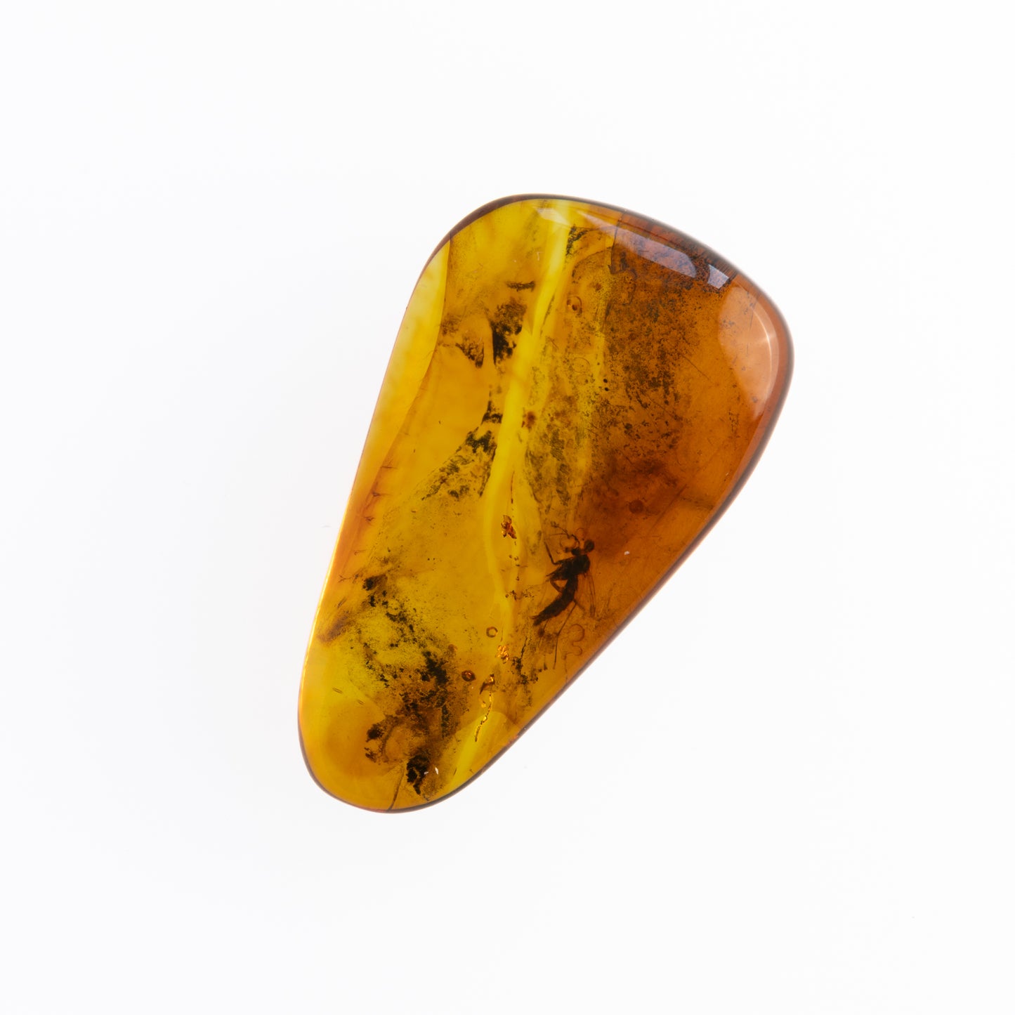 Baltic Amber with Winged Insect Inclusion