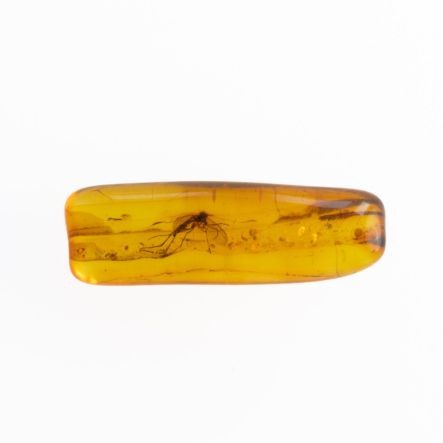 Baltic Amber with Winged Insect Inclusion