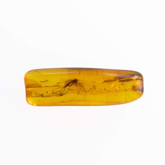 Baltic Amber with Winged Insect Inclusion