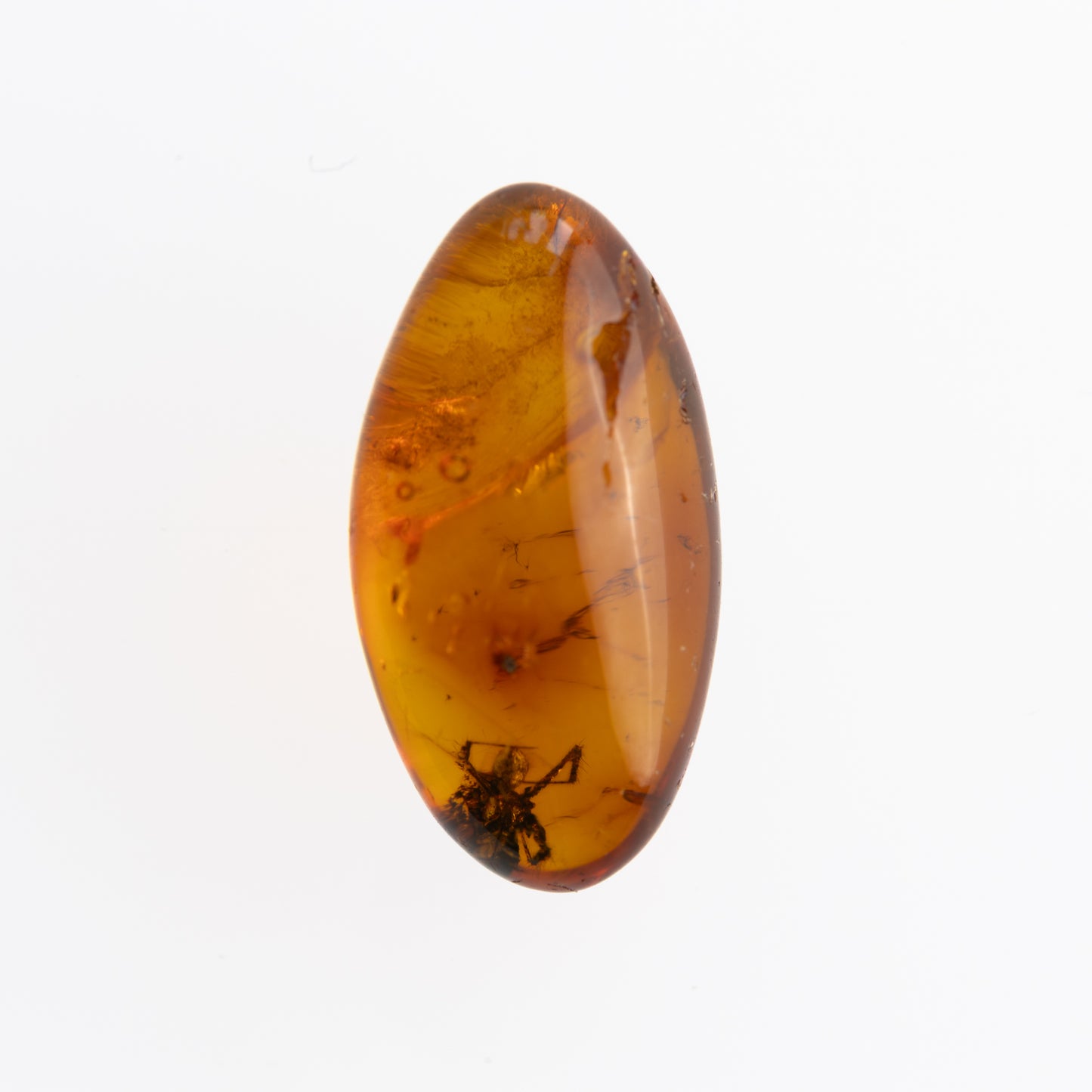 Baltic Amber with Spider Inclusion
