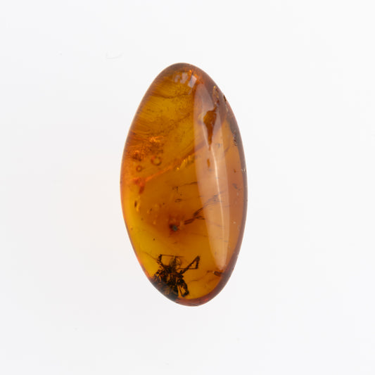 Baltic Amber with Spider Inclusion