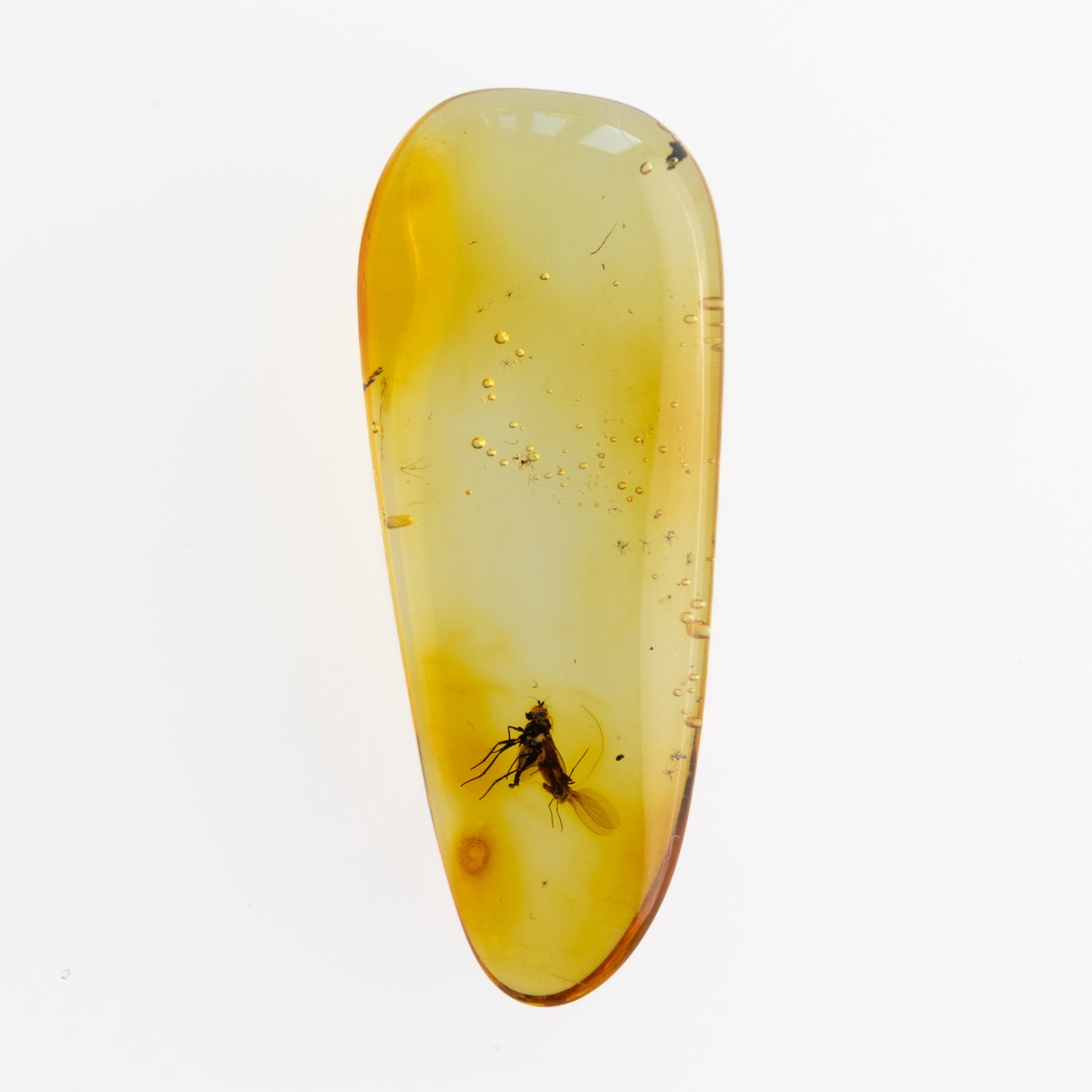 A teardrop-shaped piece of polished amber containing a preserved insect, shown on a plain white background.