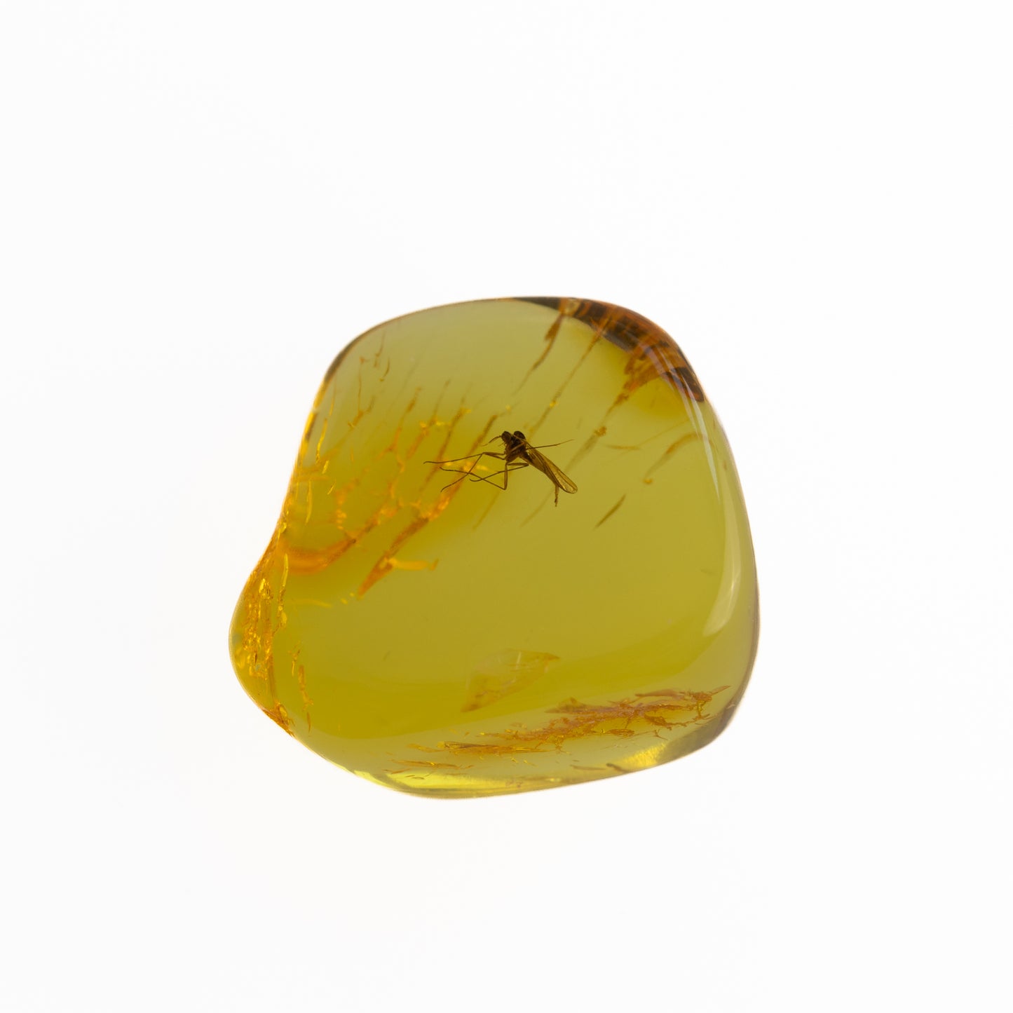 Baltic Amber with Winged Insect Inclusion