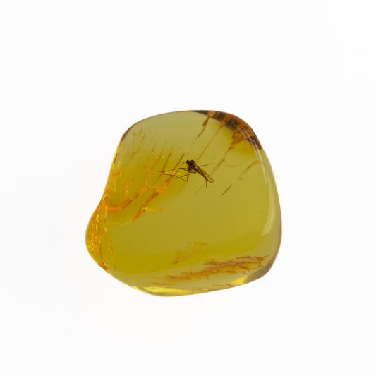 Baltic Amber with Winged Insect Inclusion
