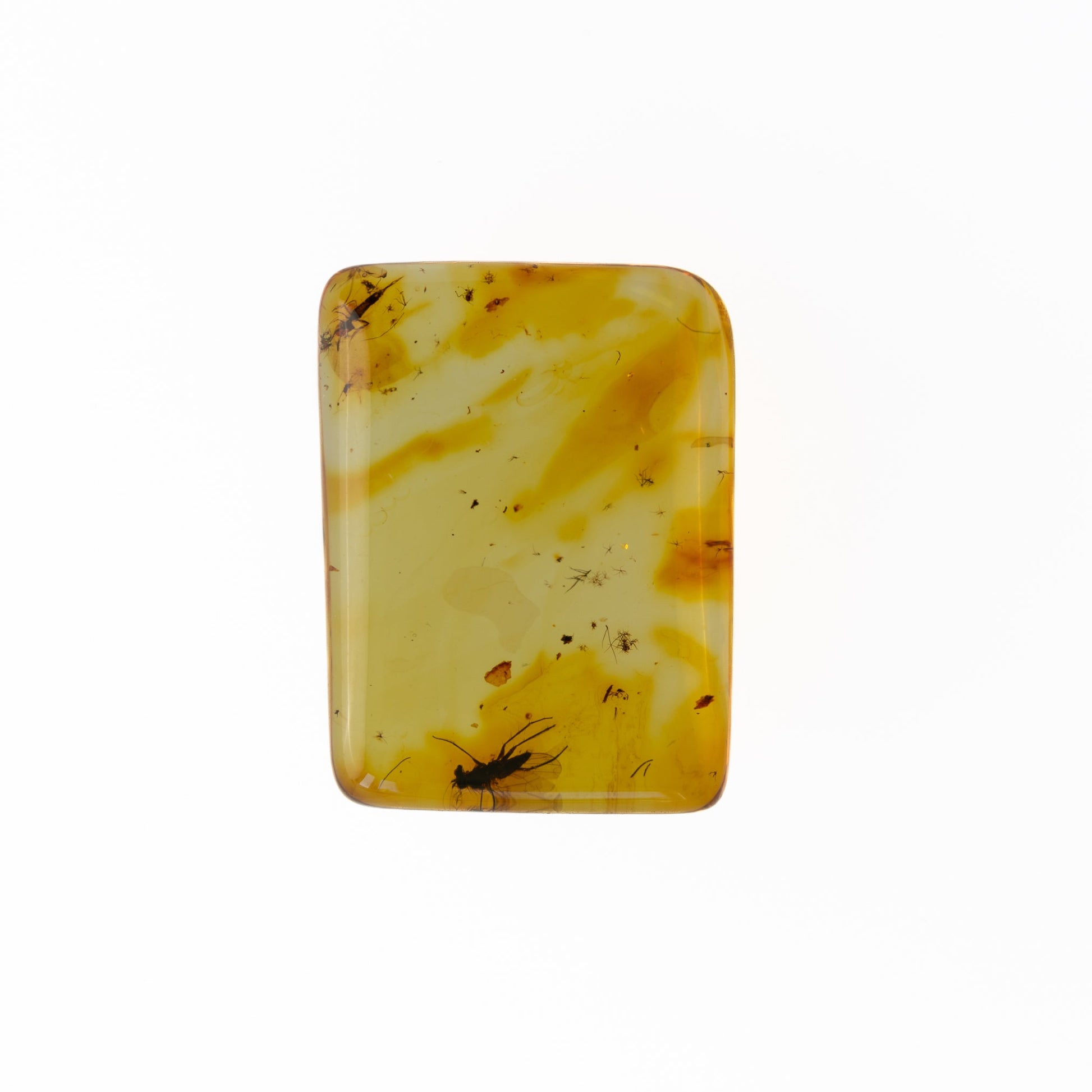 A rectangular piece of translucent amber with rounded corners, featuring natural inclusions such as small insects and organic flecks, set against a plain white background.