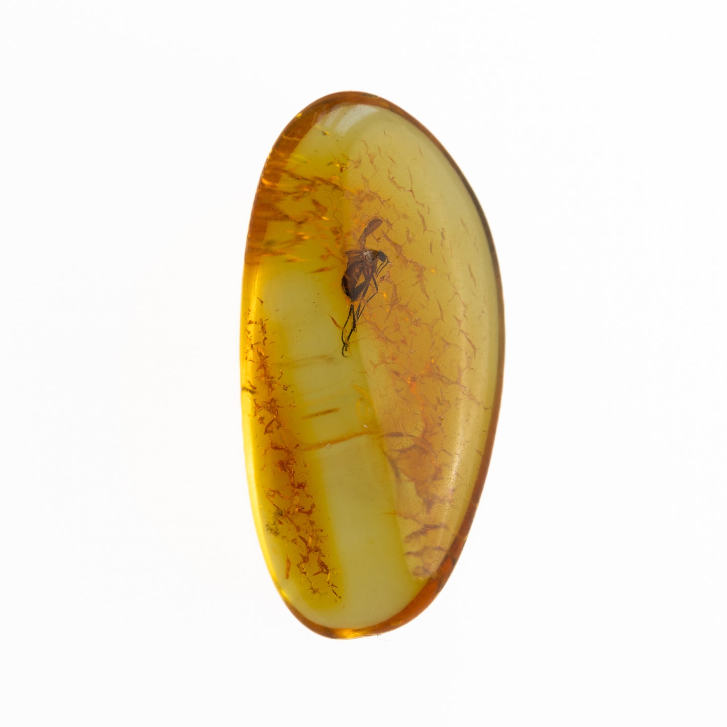 Baltic Amber with Winged Insect Inclusion