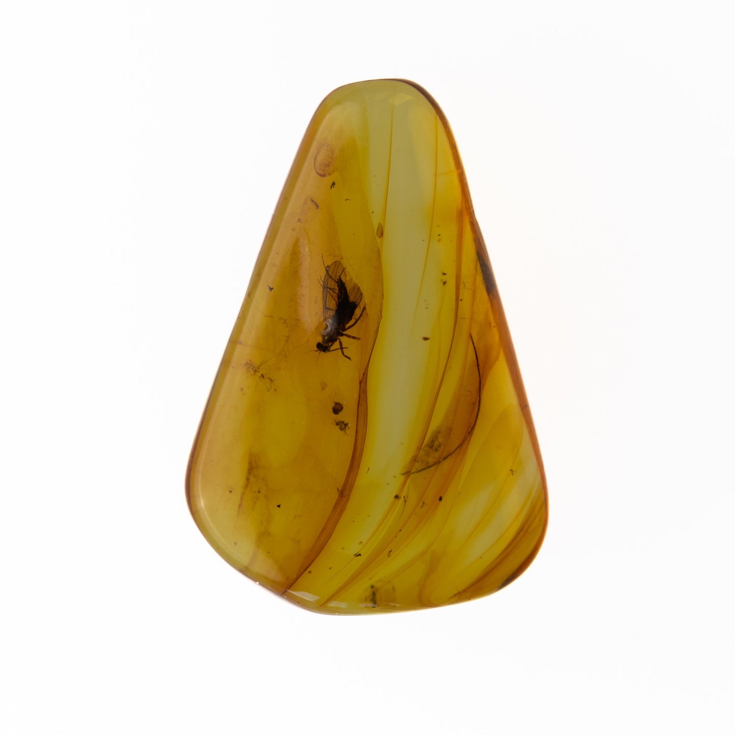 A polished, teardrop-shaped piece of translucent amber containing a small insect, shown on a solid white background.