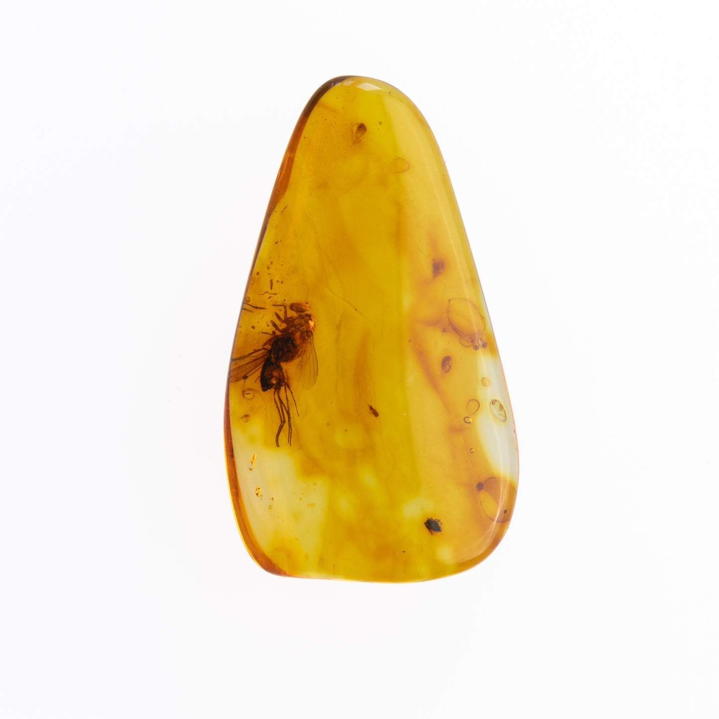 Baltic Amber with Winged Insect Inclusion