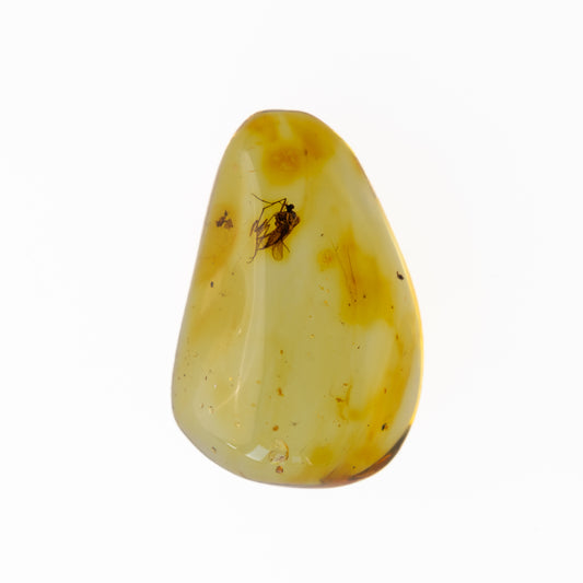 Baltic Amber with Winged Insect Inclusion