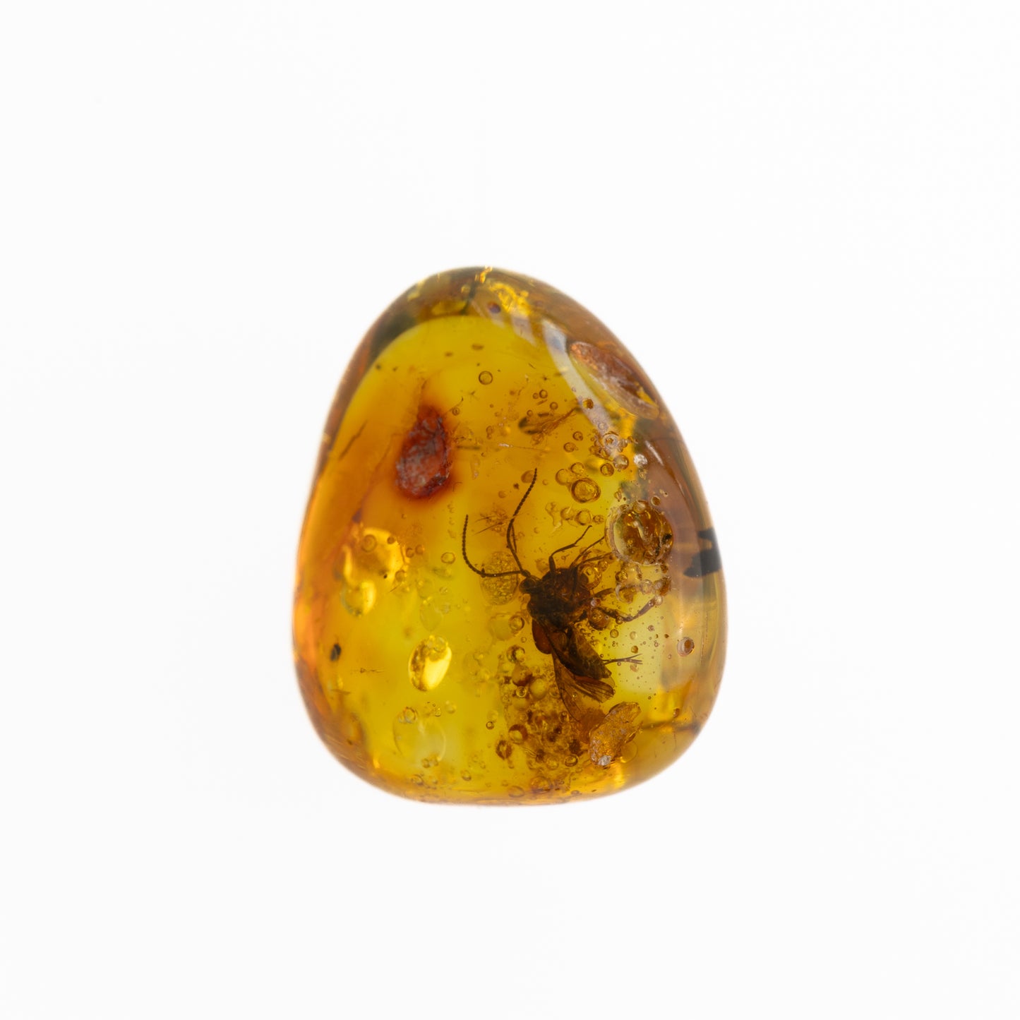 Baltic Amber with Winged Insect Inclusion