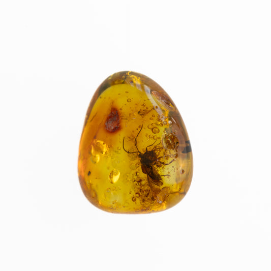 Baltic Amber with Winged Insect Inclusion