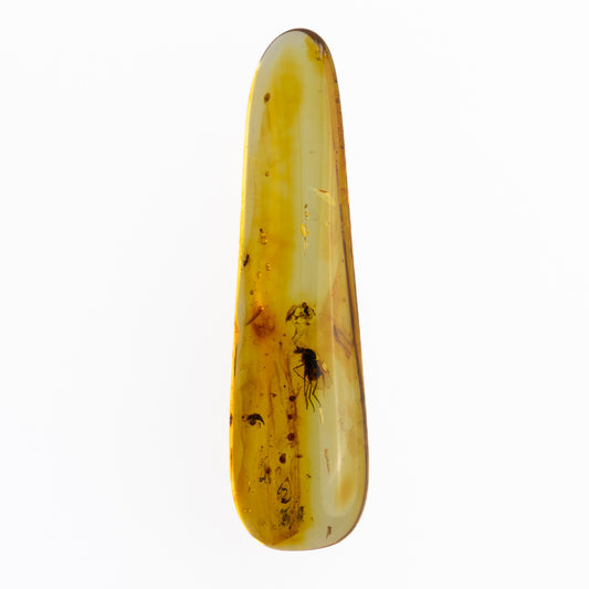 Baltic Amber with Winged Insect Inclusion