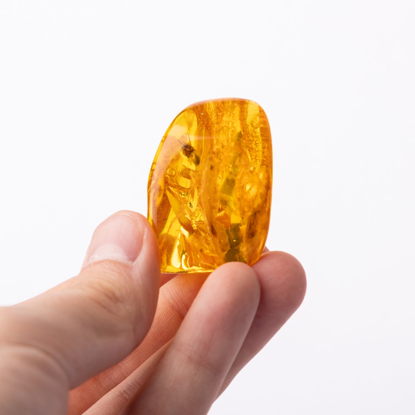 Large Baltic Amber Specimen with Spider Inclusion