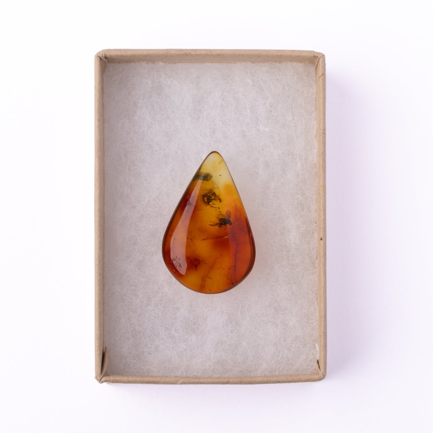 Baltic Amber with Winged Insect Inclusion