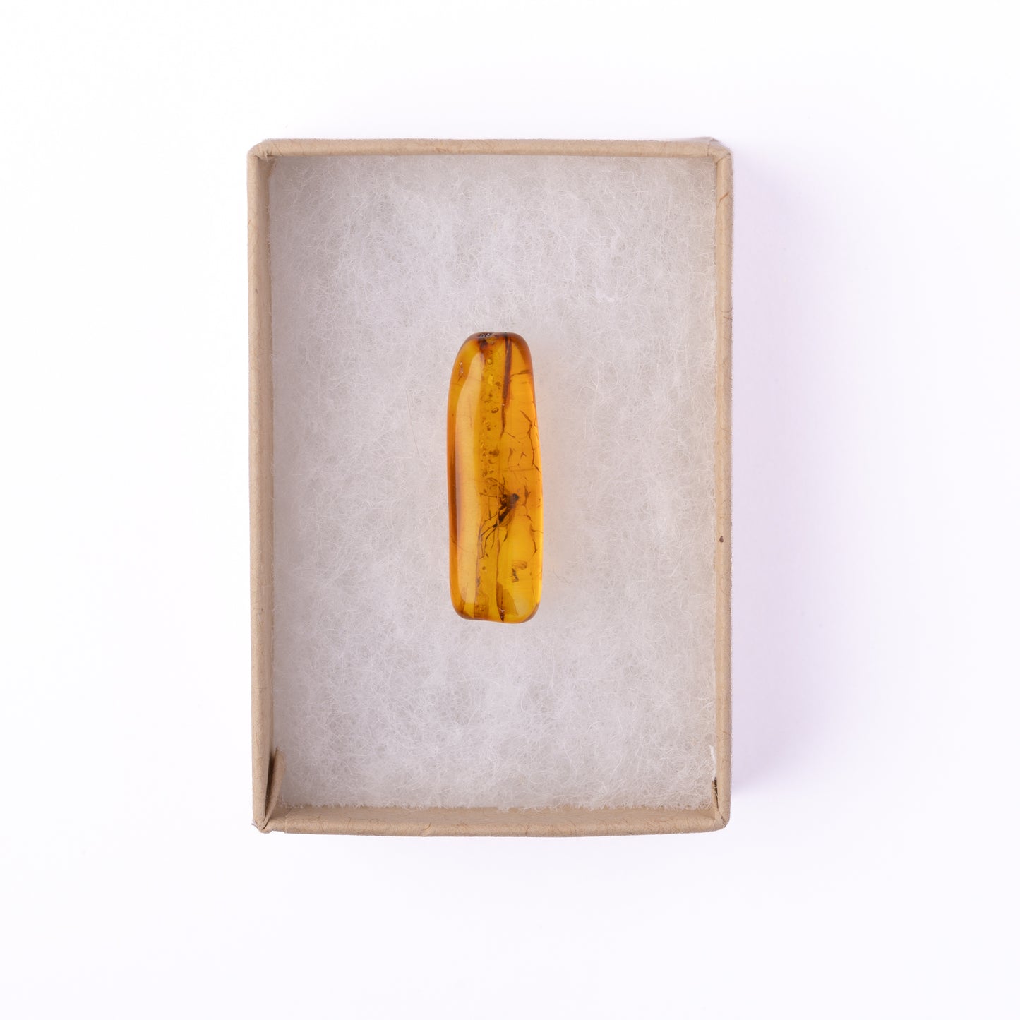 Baltic Amber with Winged Insect Inclusion
