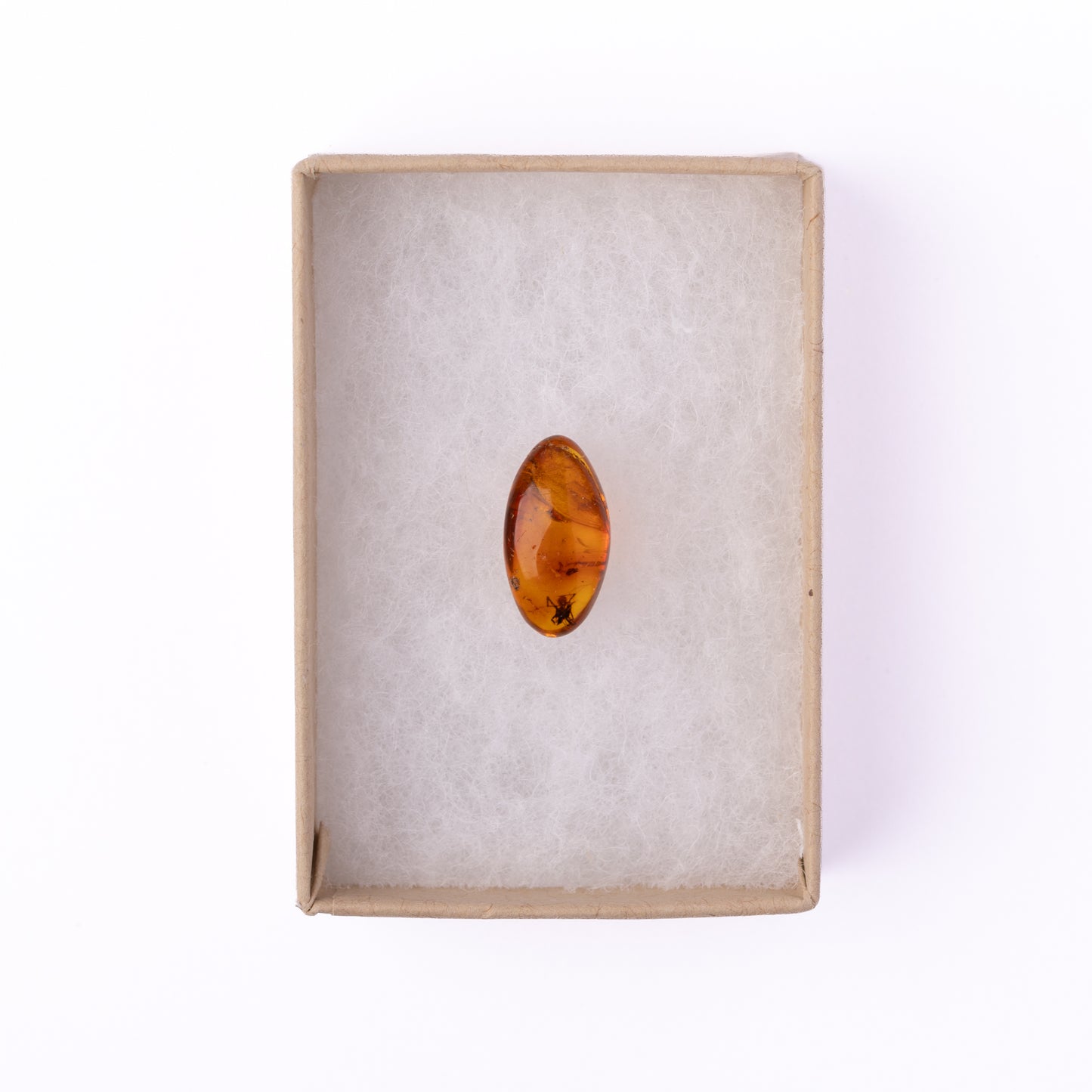 Baltic Amber with Spider Inclusion
