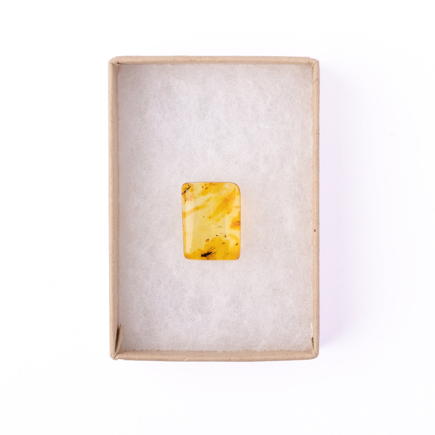 Baltic Amber with Winged Insect Inclusion