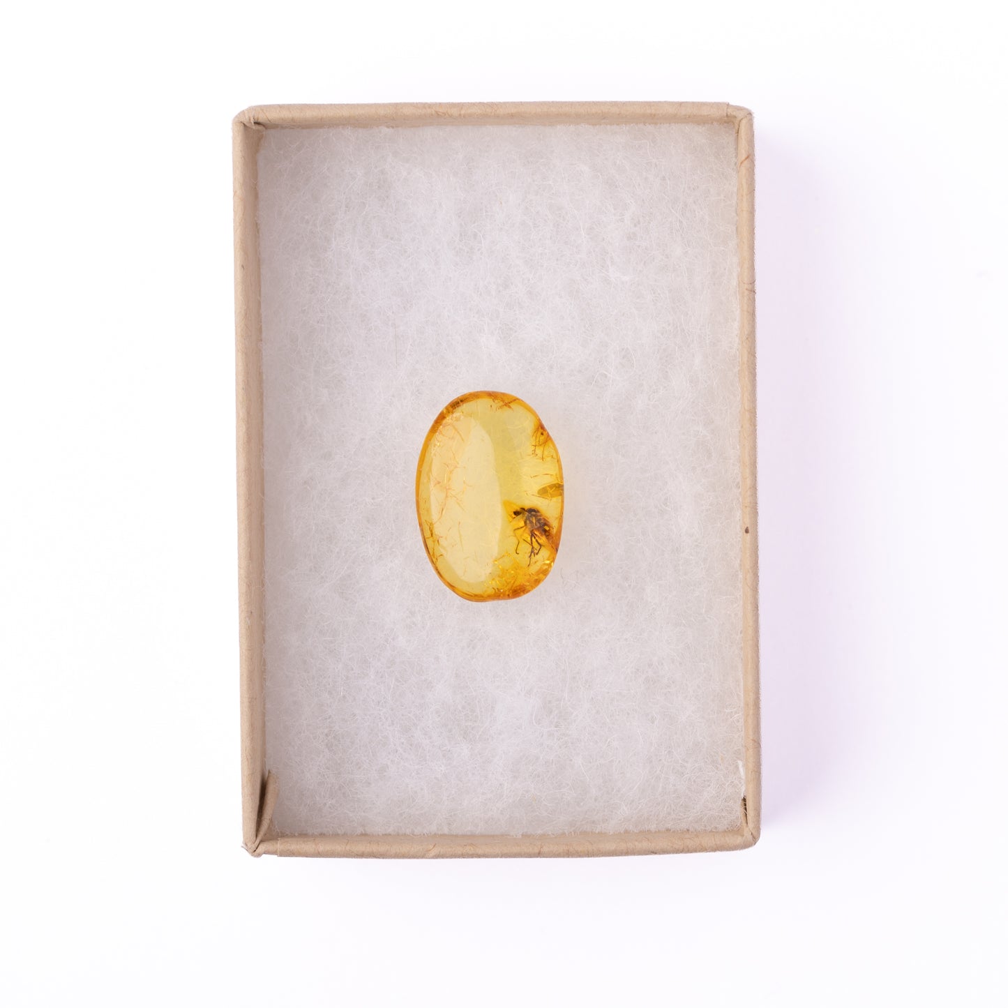 Baltic Amber with Winged Insect Inclusion