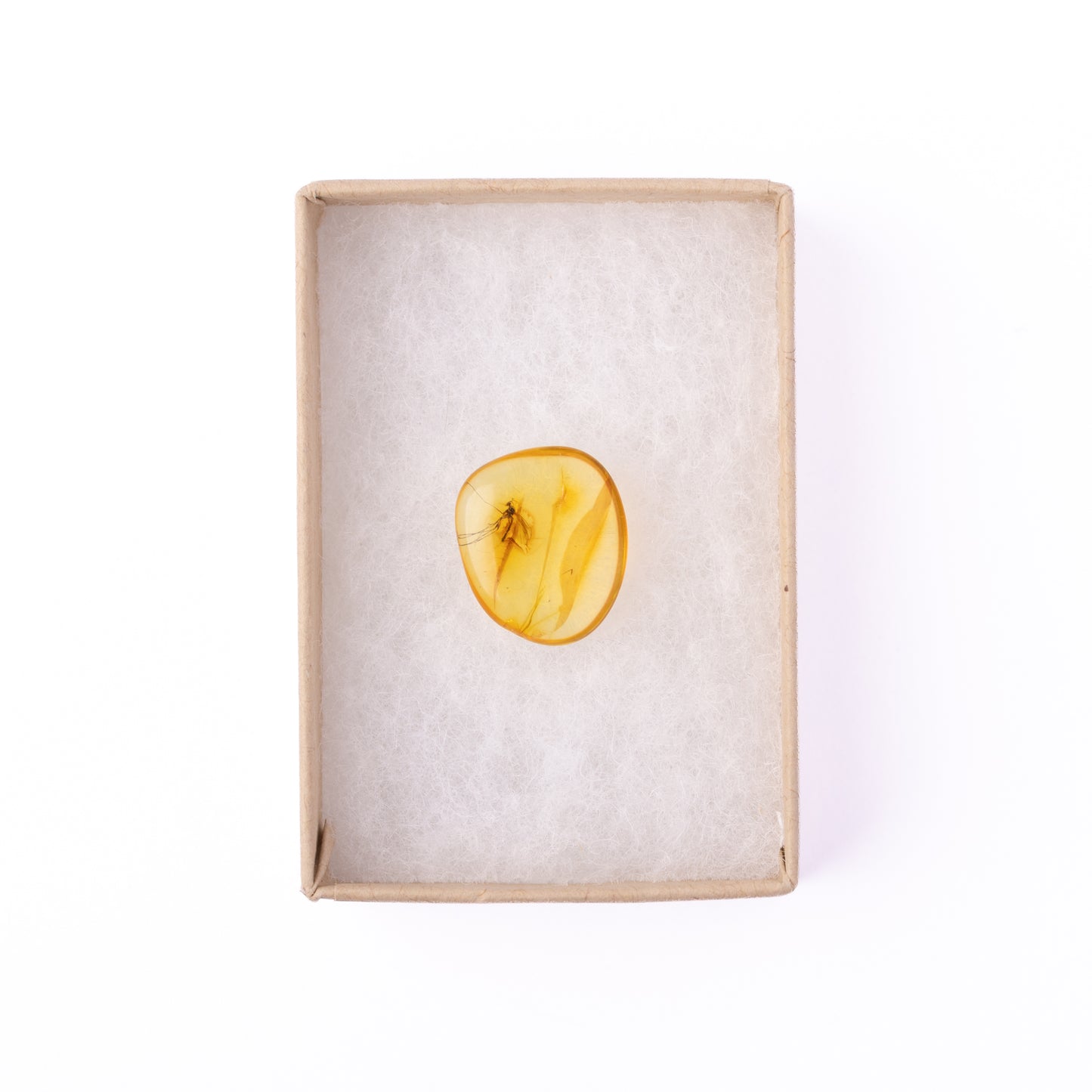 Baltic Amber with Winged Insect Inclusion