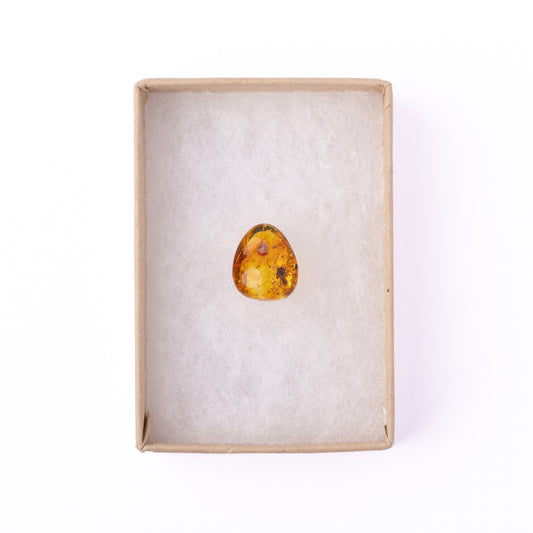 Baltic Amber with Winged Insect Inclusion