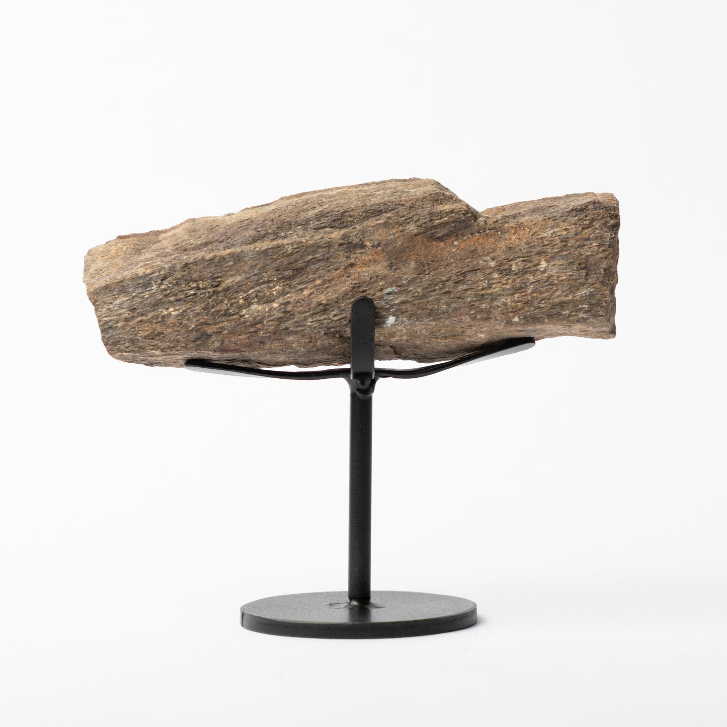 Hadrosaur Limb Bone on Stand (Partial)