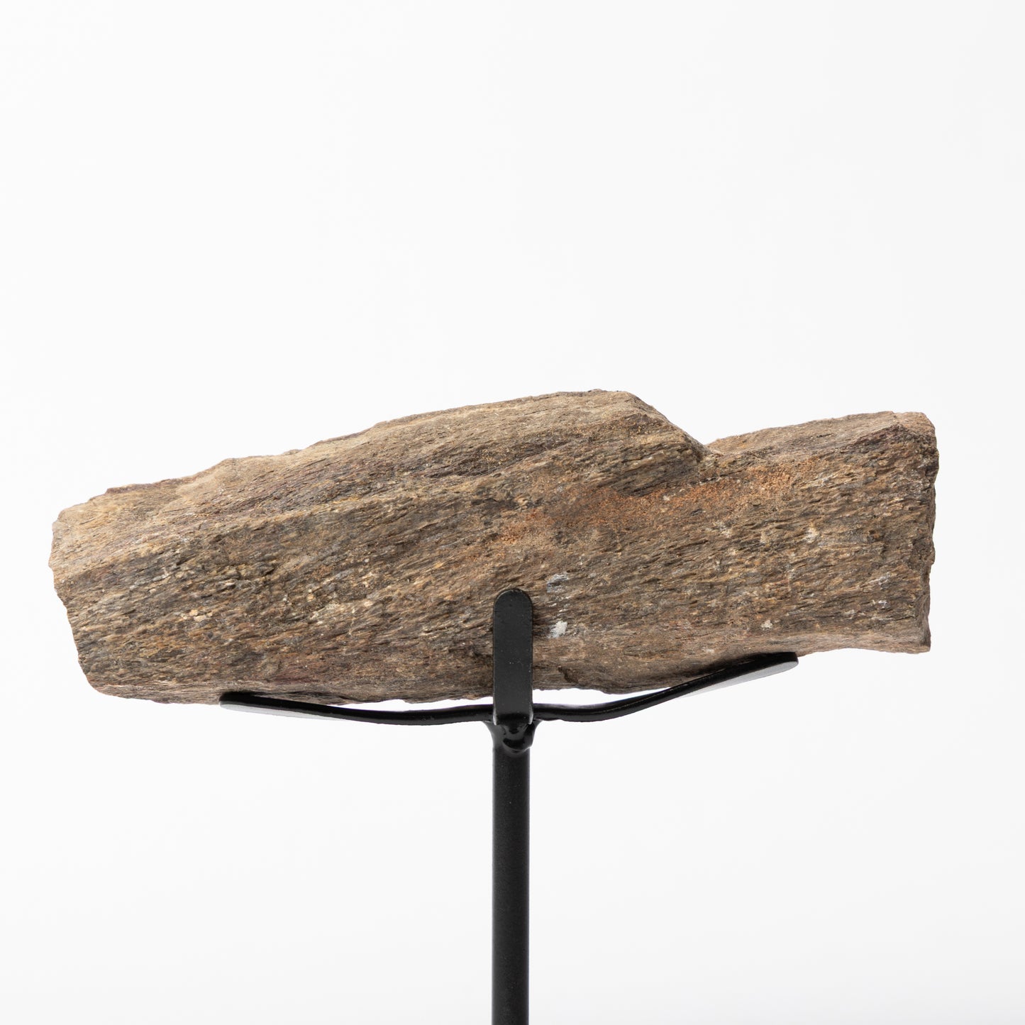 Hadrosaur Limb Bone on Stand (Partial)