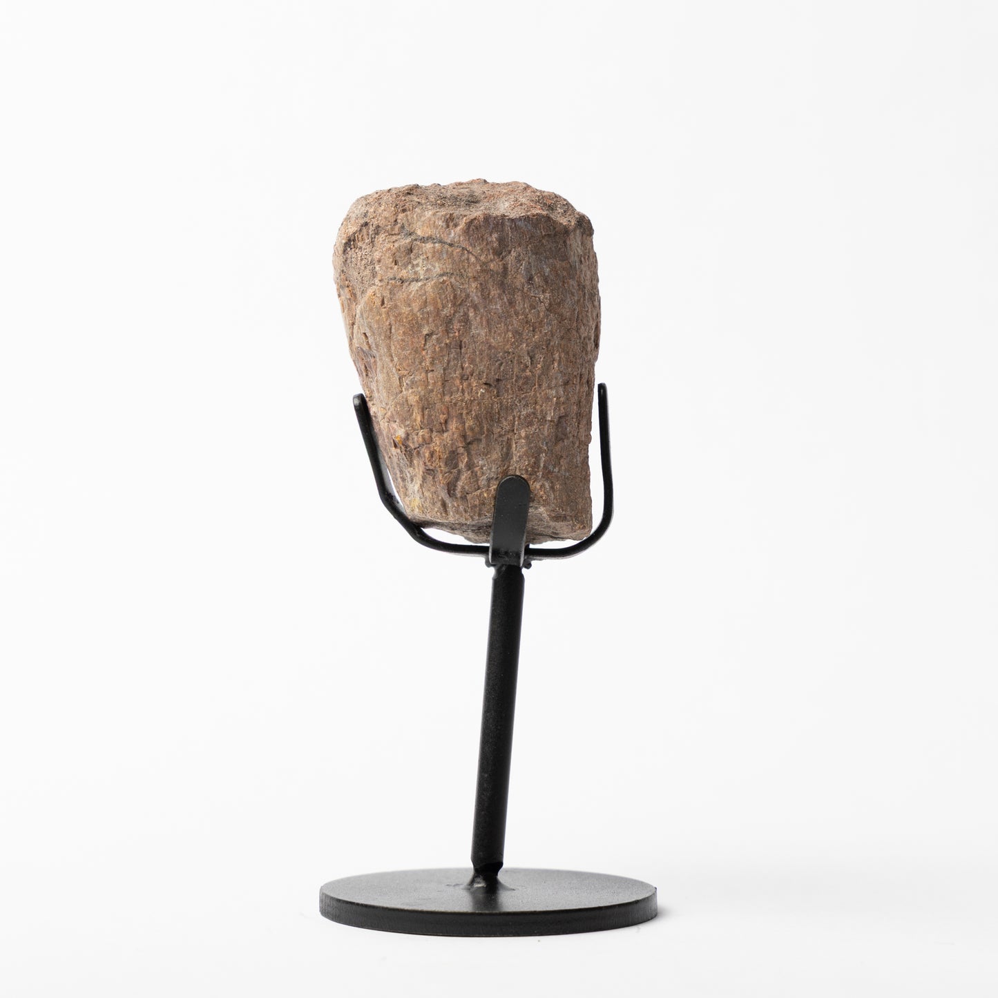 Allosaurus Vertebrae Process on Stand (Partial)