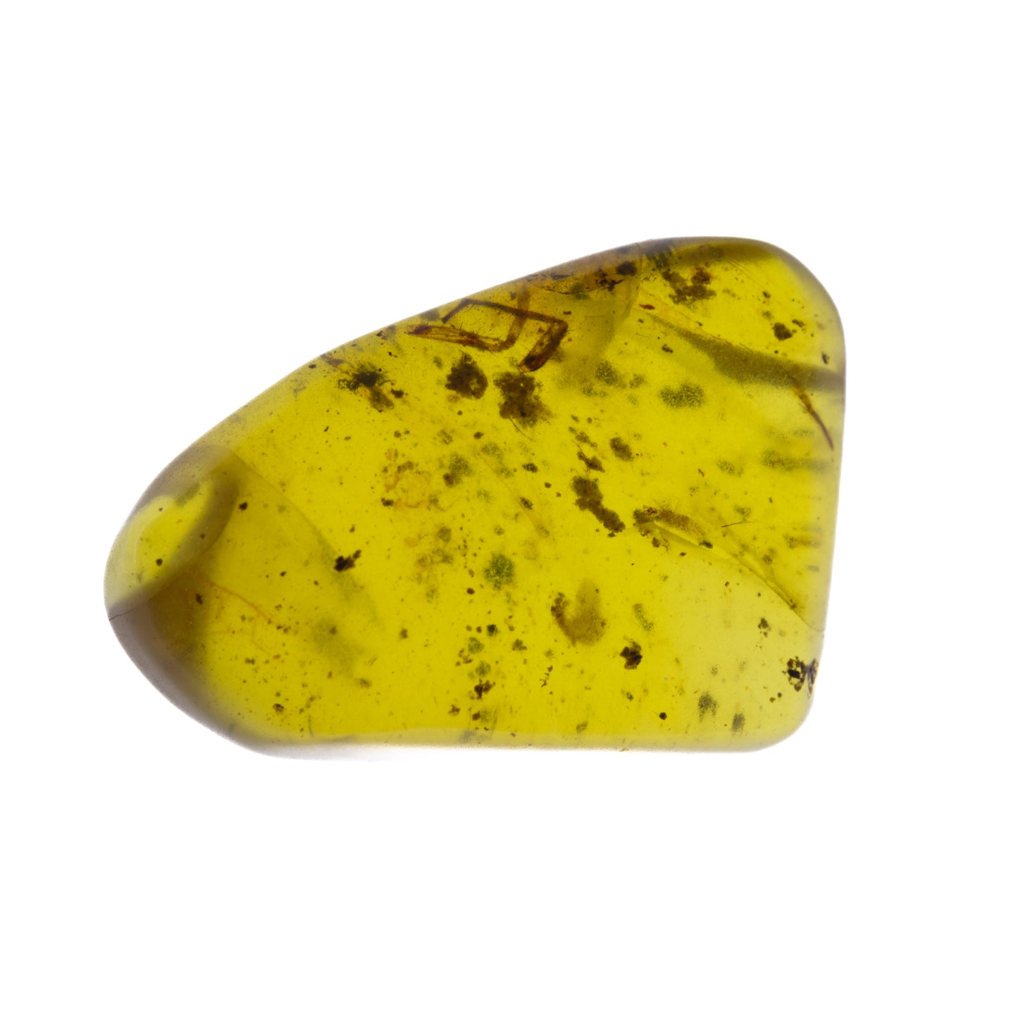 Burmese Amber with Partial Inclusion