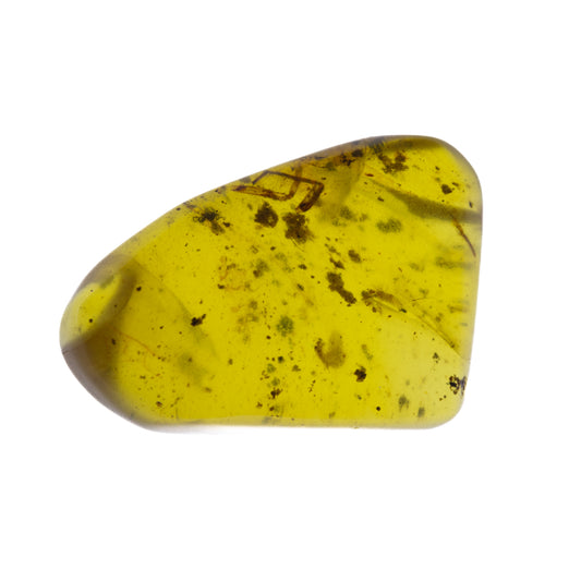 Burmese Amber with Partial Inclusion
