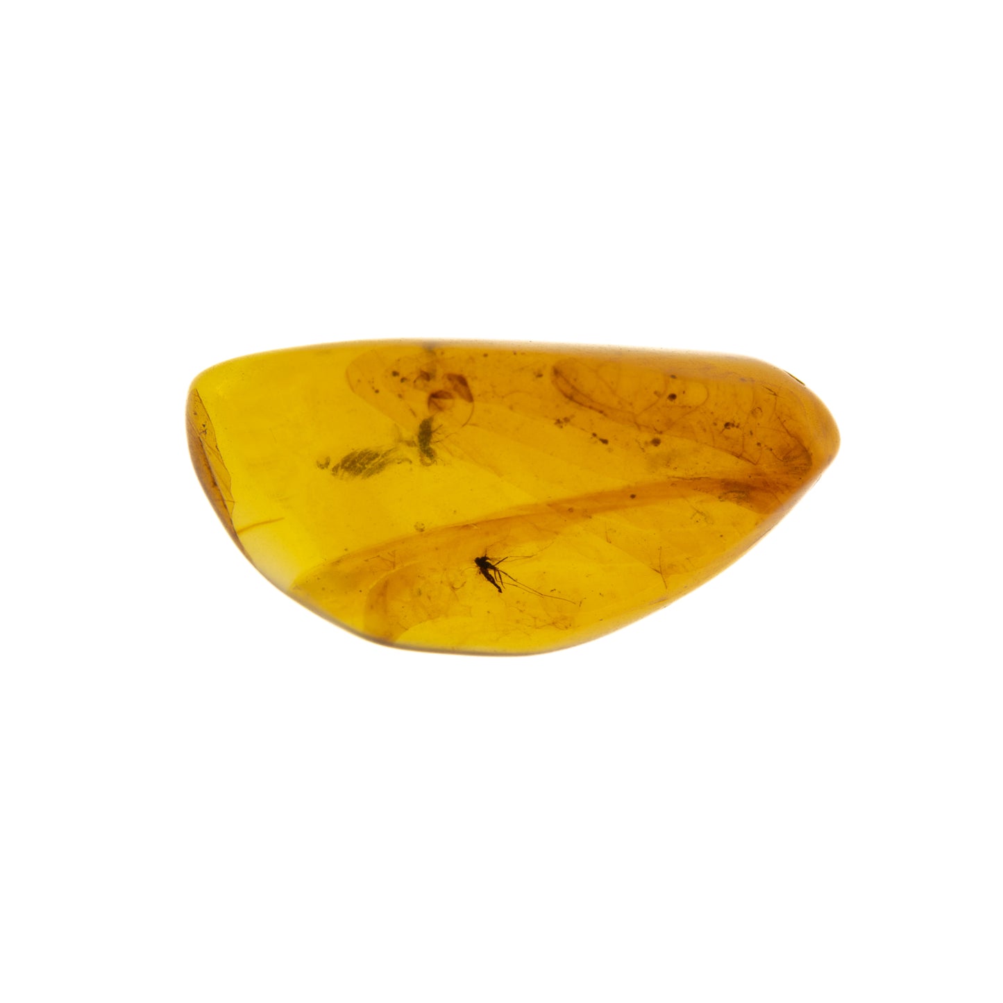 Burmese Amber with Double Inclusion