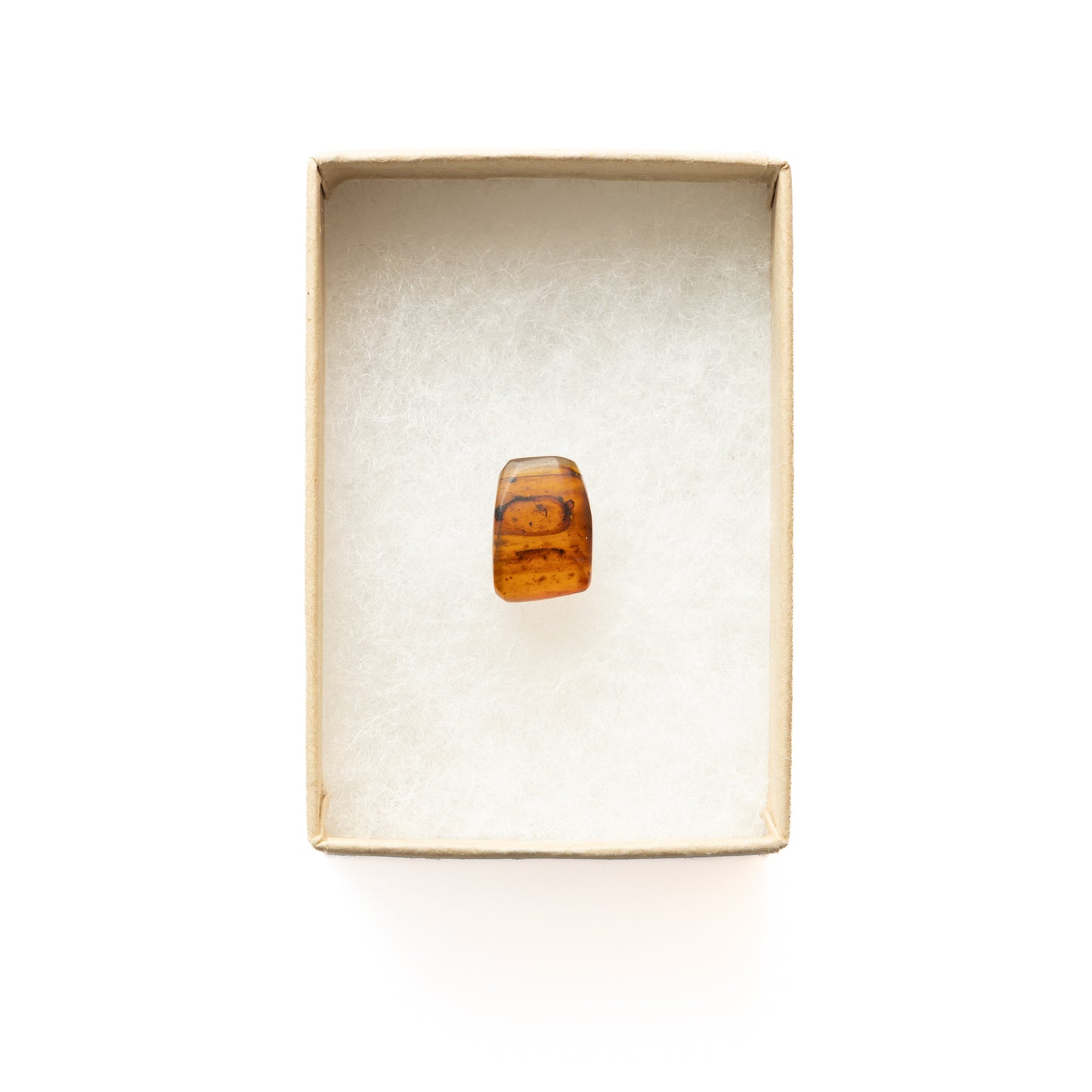 Burmese Amber with Gnat Inclusion