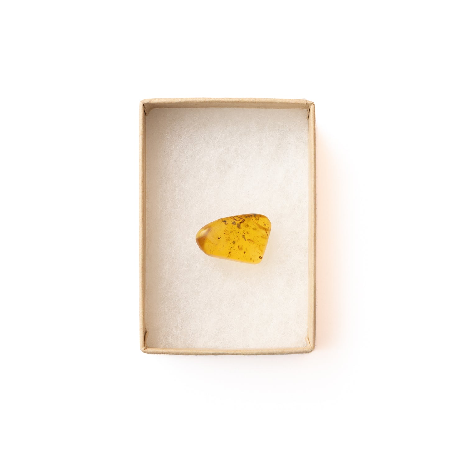 Burmese Amber with Partial Inclusion