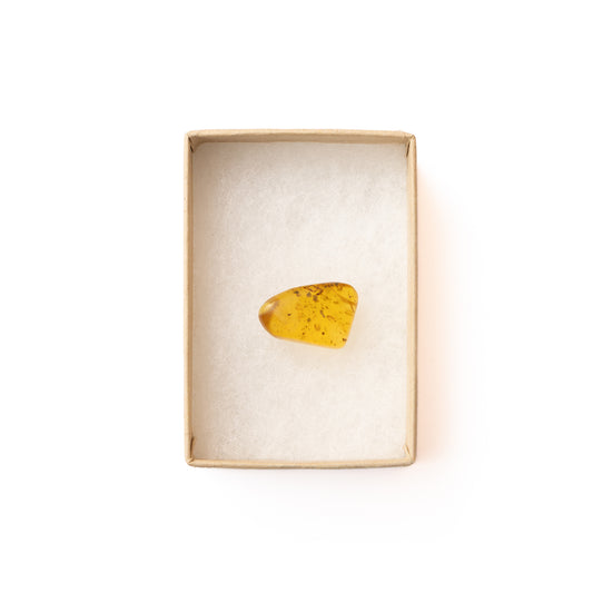 Burmese Amber with Partial Inclusion