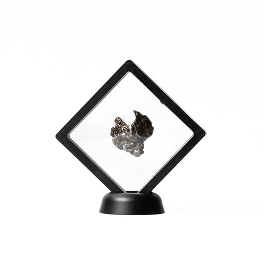 Campo del Cielo - Meteorite Fragment