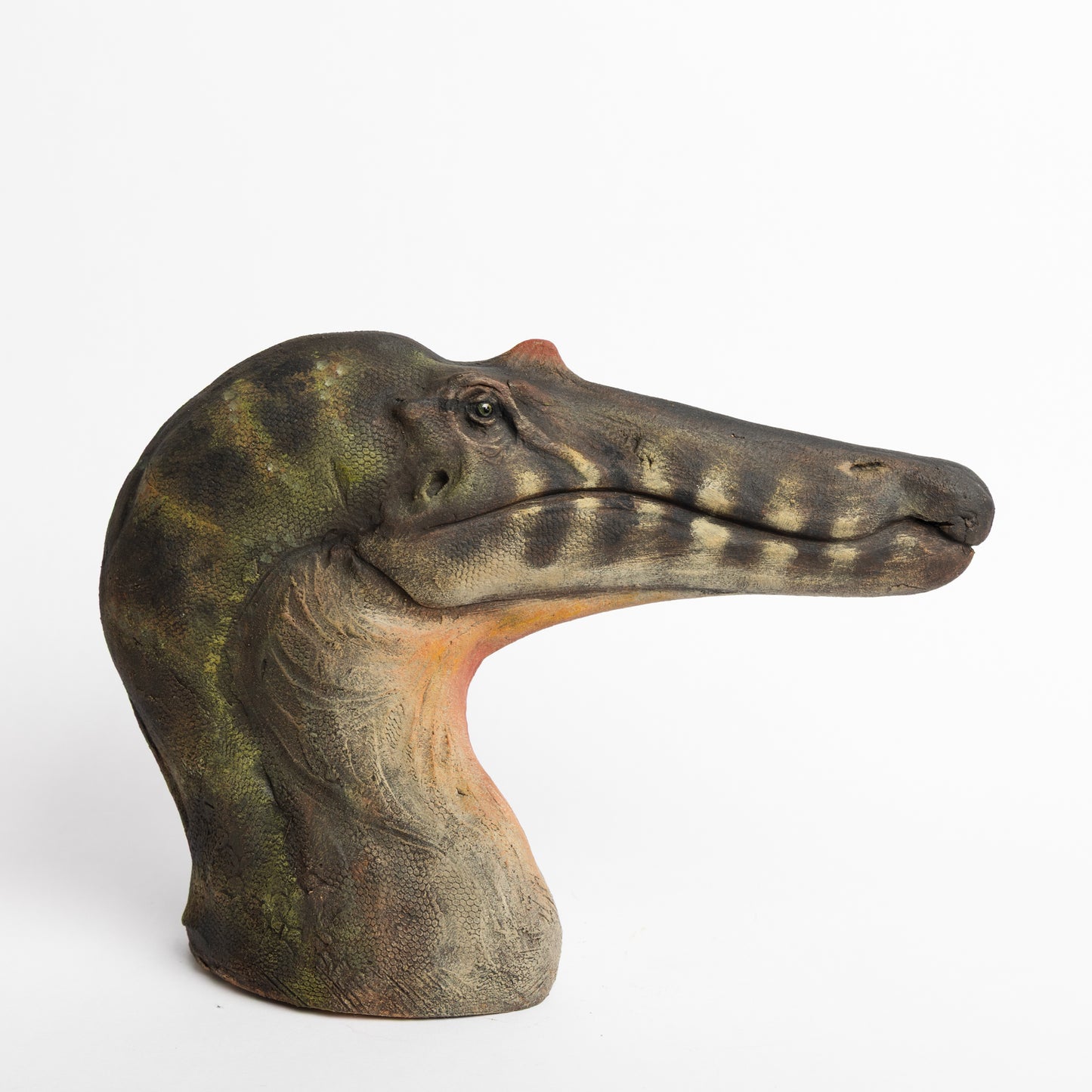 Artistic Interpretation of Ceratosuchops by Karen Fawcett