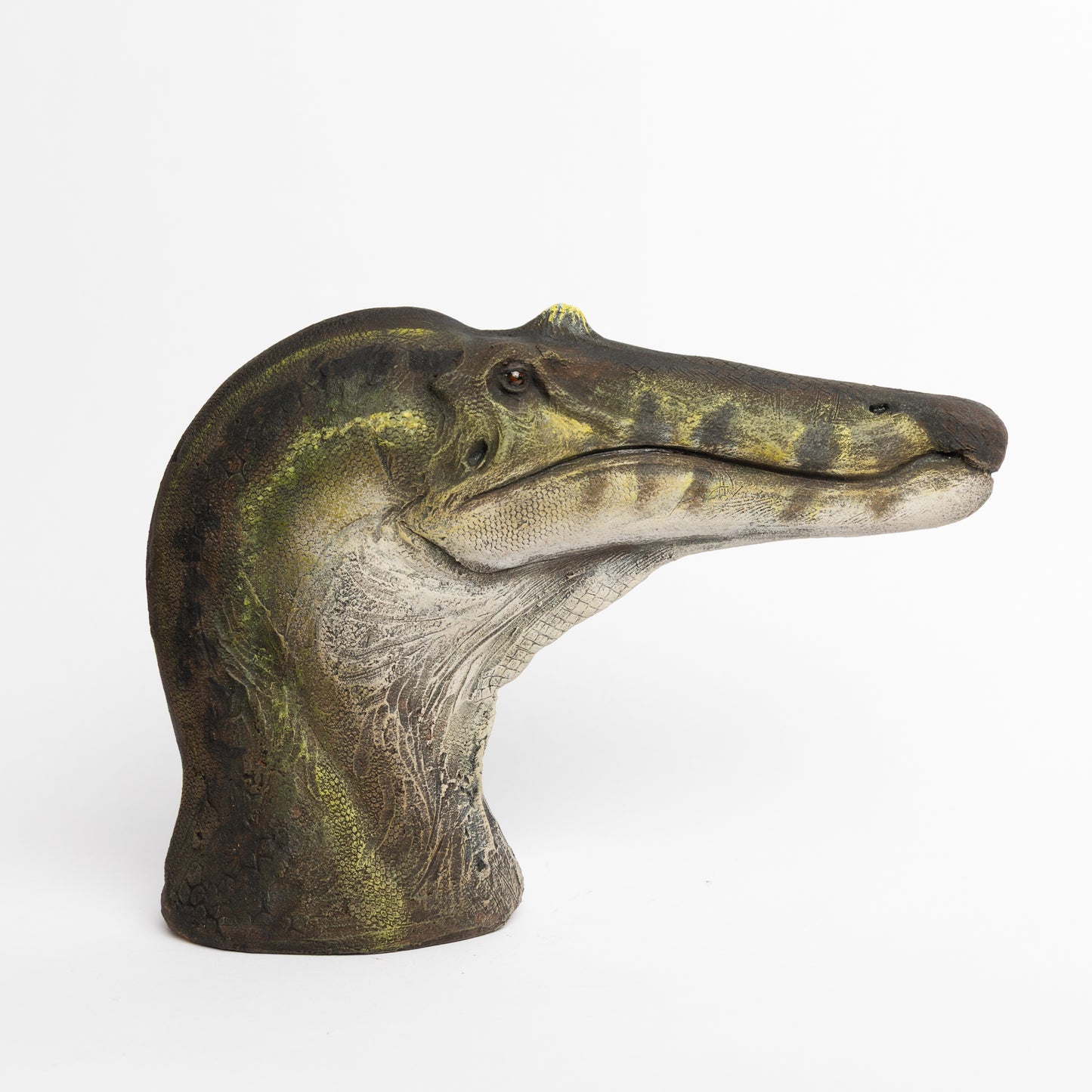 Artistic Interpretation of Ceratosuchops by Karen Fawcett