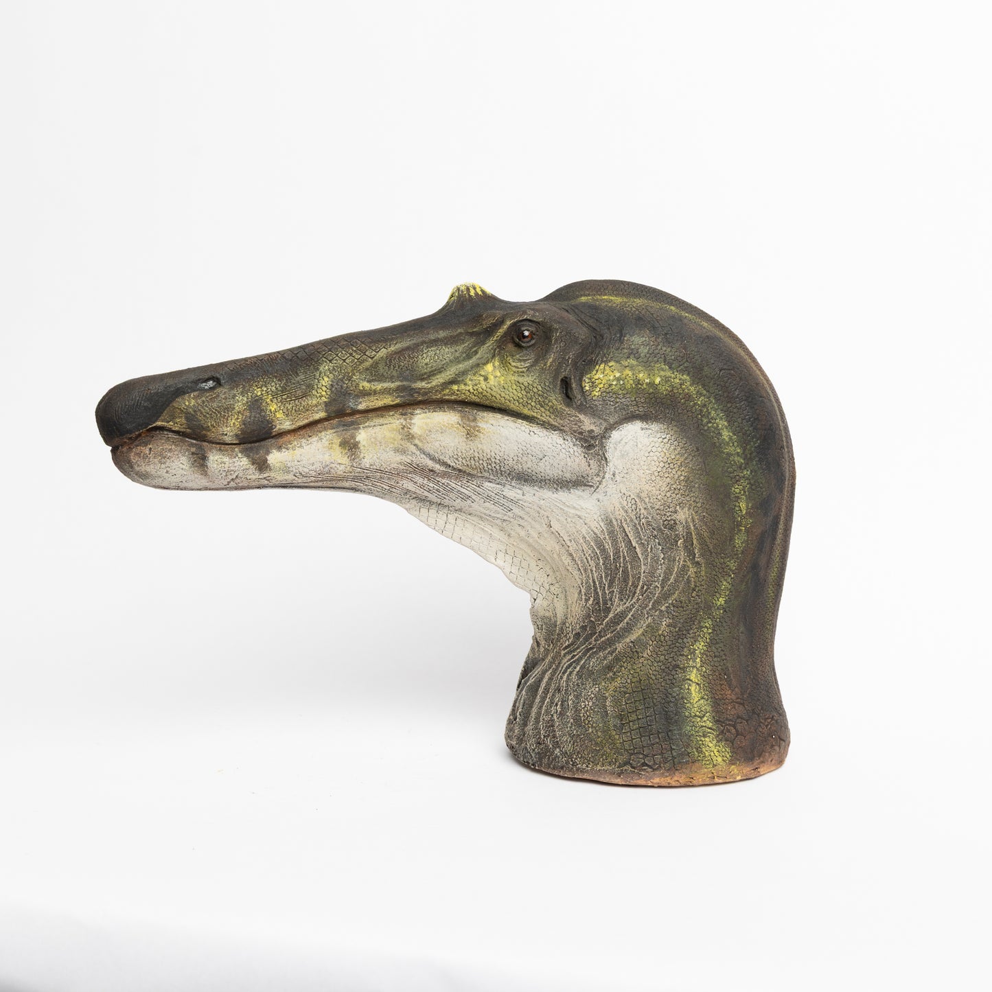 Artistic Interpretation of Ceratosuchops by Karen Fawcett