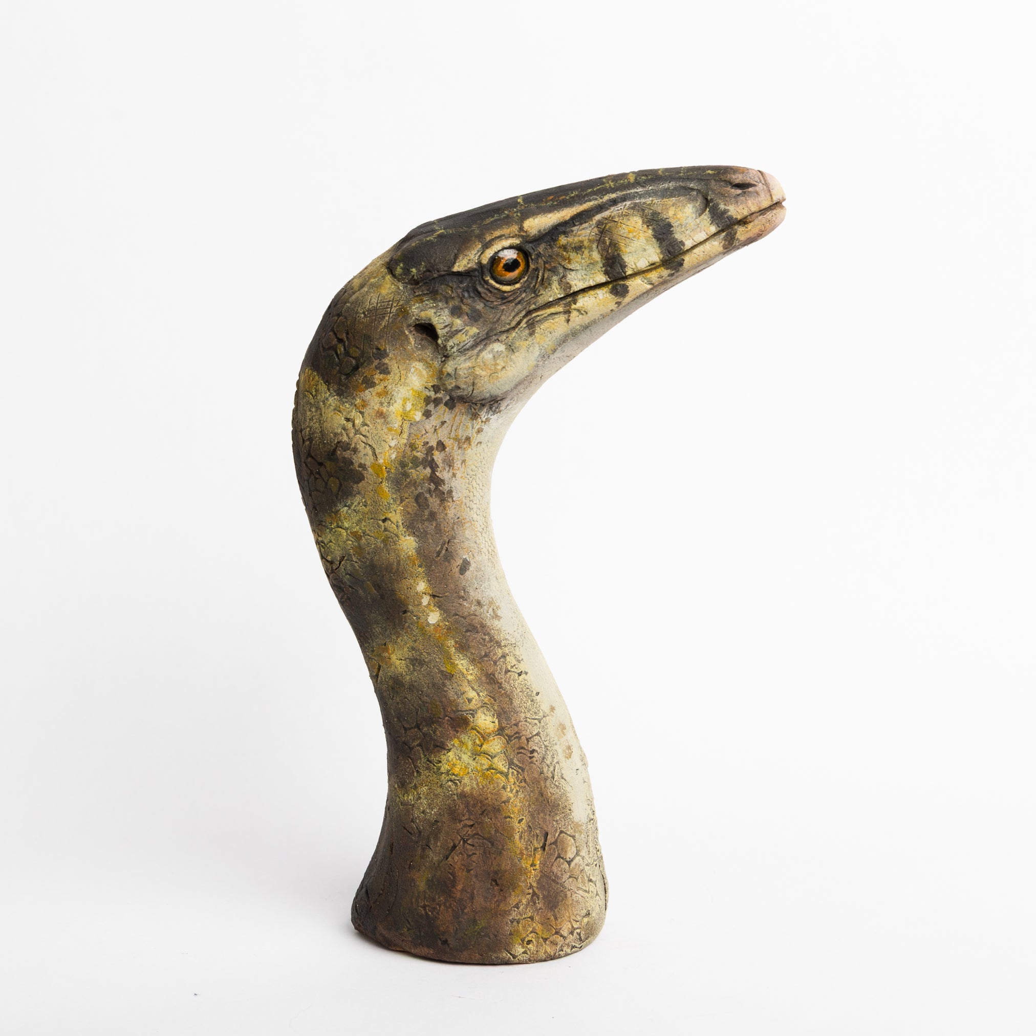 Artistic Interpretation of Compsognathus by Karen Fawcett – The